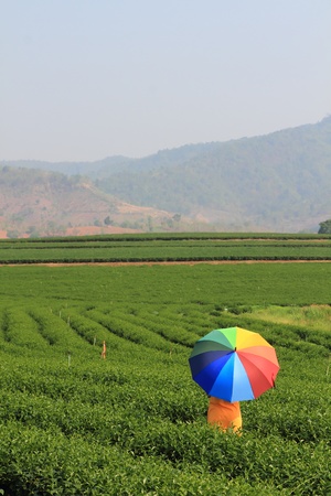 Beautiful woman holding multicolored umbrella and blue sky の写真素材