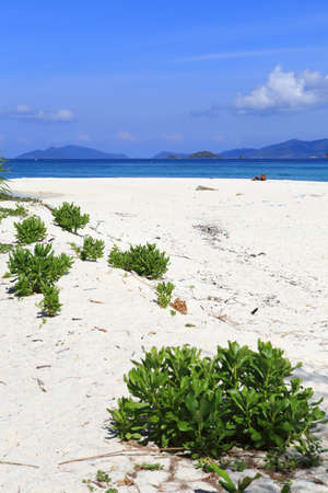 Beautiful tropical landscape. Lipe island, Thailandの写真素材