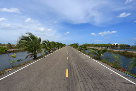 summer landscape with roadの写真素材