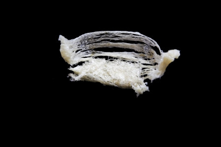 Edible bird's nest close upの写真素材