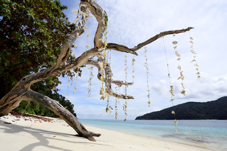 Beautiful tropical beach and skyの写真素材