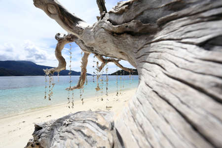 Beautiful tropical beach and skyの写真素材