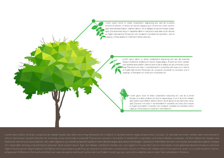 ecological infographics with tree  infographic conceptのイラスト素材