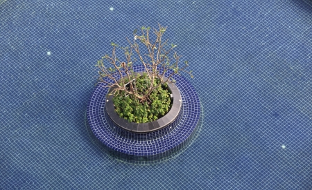 Swimming pool. top viewのeditorial素材