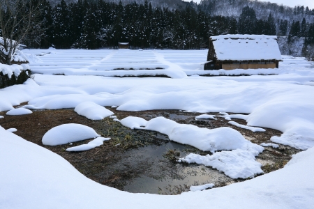 Cottage at Gassho-zukuri Village Shirakawago japanのeditorial素材