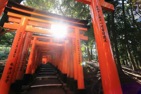 Fushimi Inari Taisha Shrine in Kyoto, Japanのeditorial素材