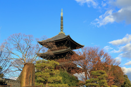 Daigoji Temple Five-storied Pagoda in spring, kyoto, japanのeditorial素材