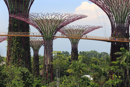 SINGAPORE-May 11: Day view of The Supertrees Grove at Gardens by the Bay on MAY 11, 2014 in...