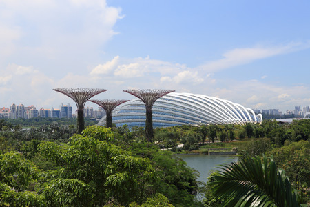 SINGAPORE-May 11: Day view of The Supertrees Grove at Gardens by the Bay on MAY 11, 2014 in...