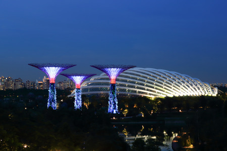SINGAPORE -May 12: Night view of Supertree Grove at Gardens by the Bay on May 12, 2014 in Singapore. Spanning 101 hectares of reclaimed land in central Singapore, adjacent to the Marina Reservoirのeditorial素材