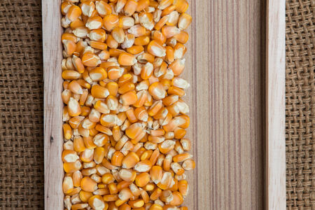 Dried corn seed in box wood burlap on sack