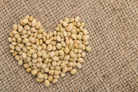 soy bean in heart shape on sack background.の写真素材