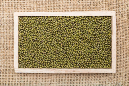 green mung beans backgroundの写真素材