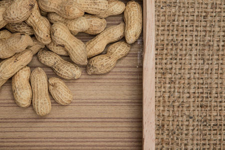 Peanuts in a sack backgroundの写真素材