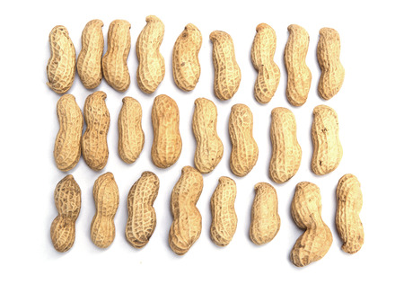 Dried peanuts in closeup on the white backgroundの写真素材
