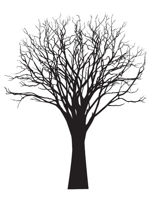 vector black silhouette of a bare treeのイラスト素材
