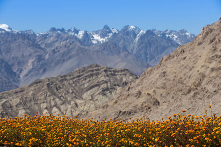 Snow mountain range, Leh Ladakh, Indiaの写真素材