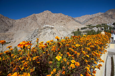 Snow mountain range, Leh Ladakh, Indiaの写真素材