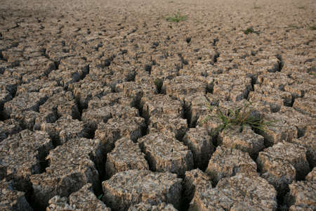 Background of dry cracked soil dirt