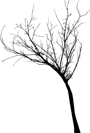 vector black silhouette of a bare treeのイラスト素材