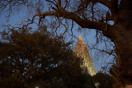 Night Shot. Mahabodhi temple, bodh gaya, India. The site where Gautam Buddha attained enlightenmentの写真素材
