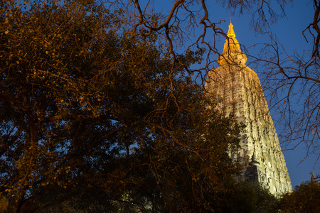 Night Shot. Mahabodhi temple, bodh gaya, India. The site where Gautam Buddha attained enlightenmentの写真素材