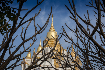 Nine tops pagoda, thai style at thai temple kushinagar, Indiaの写真素材