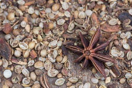 Spices lying on a wooden surface closeupの写真素材