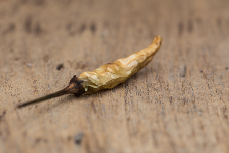 Closeup of the dried chili on the woodの写真素材