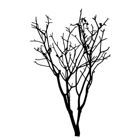 vector black silhouette of a bare treeのイラスト素材