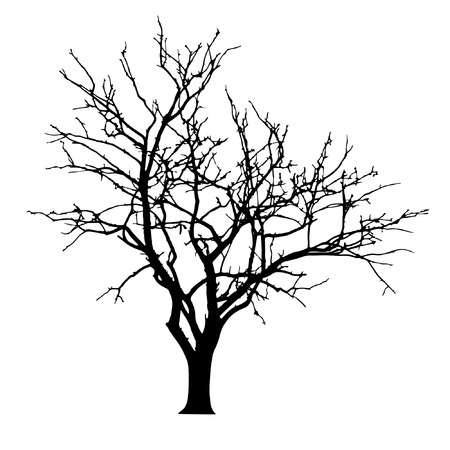 vector black silhouette of a bare treeのイラスト素材