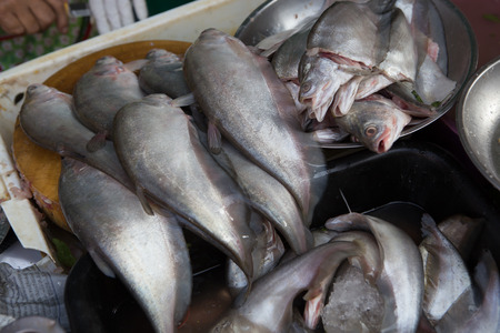 fresh seafood on the market in Thailand