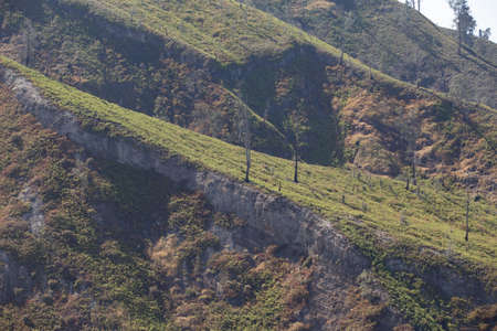 View from the tropical forest with path to the volcano Kawah Ijen, East Java, Indoneisaの写真素材