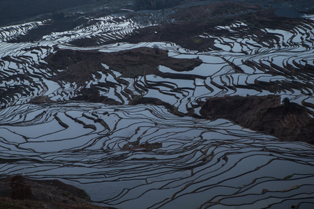 View of Yuan Yang Rice terraces with sunriseの写真素材