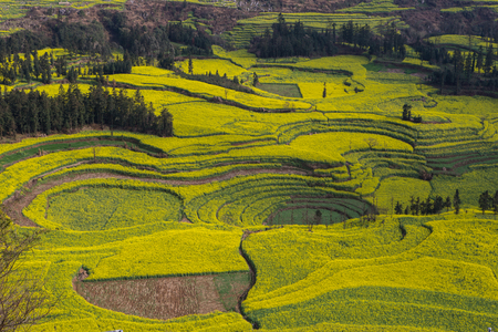 Spring fresh landscape of colorful fields, sunrise sky and beautiful hills valleyの写真素材