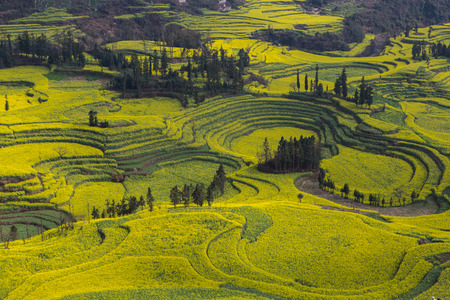 Spring fresh landscape of colorful fields, sunrise sky and beautiful hills valleyの写真素材