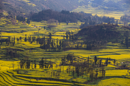 Spring fresh landscape of colorful fields, sunrise sky and beautiful hills valleyの写真素材