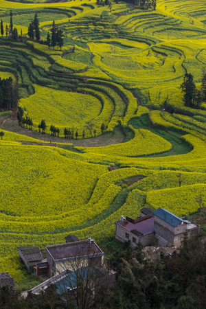 Spring fresh landscape of colorful fields, sunrise sky and beautiful hills valley