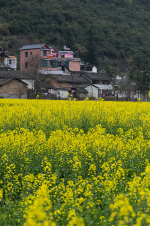 Spring fresh landscape of colorful fields, sunrise sky and beautiful hills valleyの写真素材