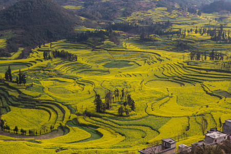 Spring fresh landscape of colorful fields, sunrise sky and beautiful hills valleyの写真素材