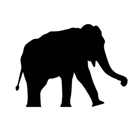Elephant Silhouettesの写真素材