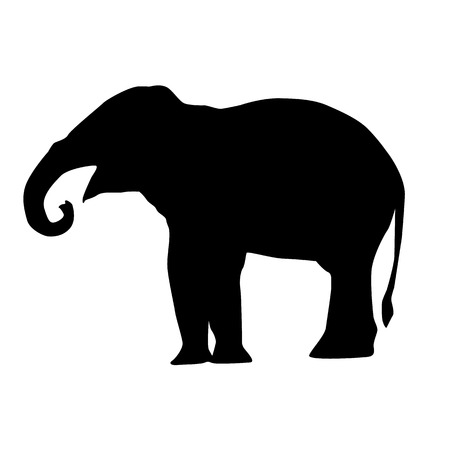 Elephant Silhouettesの写真素材