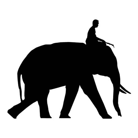 elephant and mahout young boy on white backgroundの写真素材