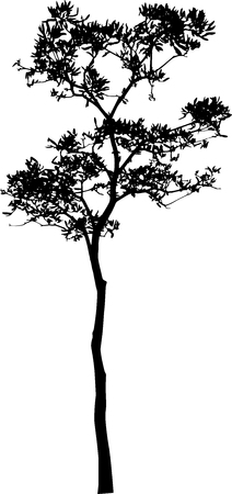 Dead Tree with few Leaves Vectorのイラスト素材