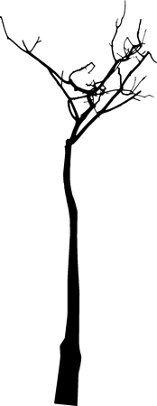 Dead Tree without Leaves Vectorのイラスト素材