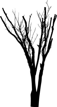 Dead Tree without Leaves Vectorのイラスト素材