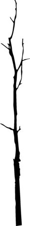 Dead Tree without Leaves Vectorのイラスト素材