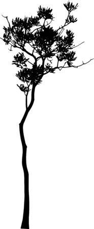 isolated tree on white backgroundのイラスト素材