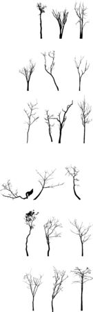 Dead Tree without Leaves Vectorのイラスト素材