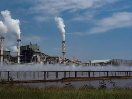 Sugar cane factory
